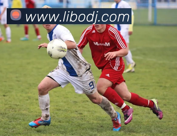 立博电竞APP 封面图